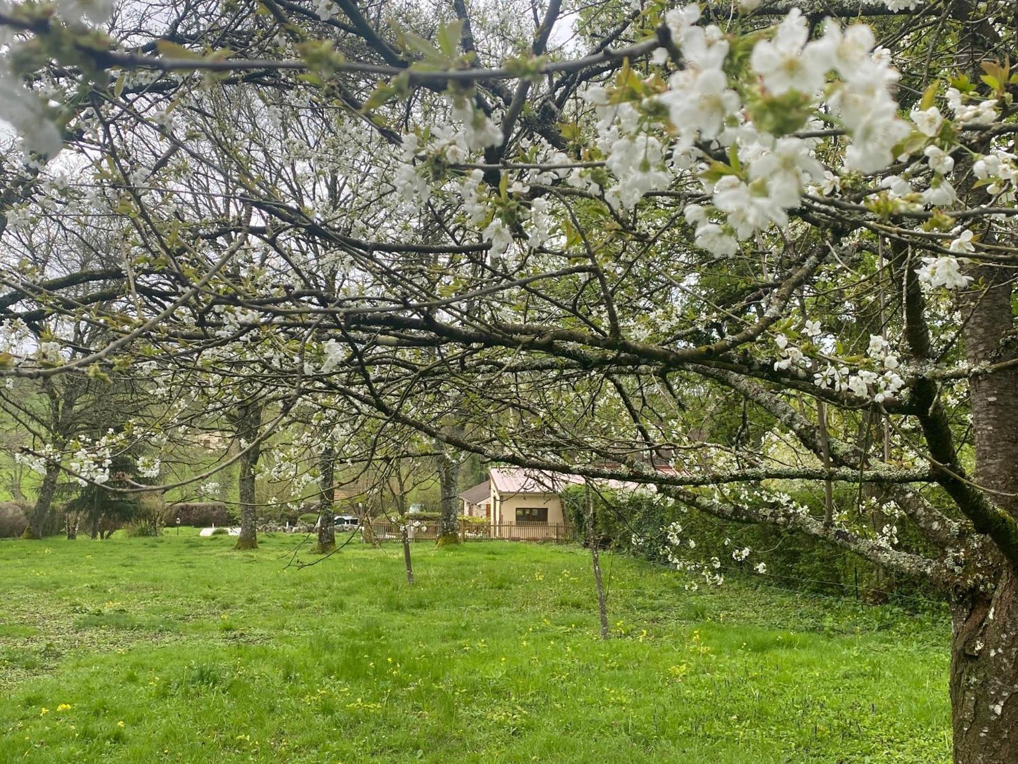 Gite Du Gue Maraud Villa Magny-Lormes Buitenkant foto